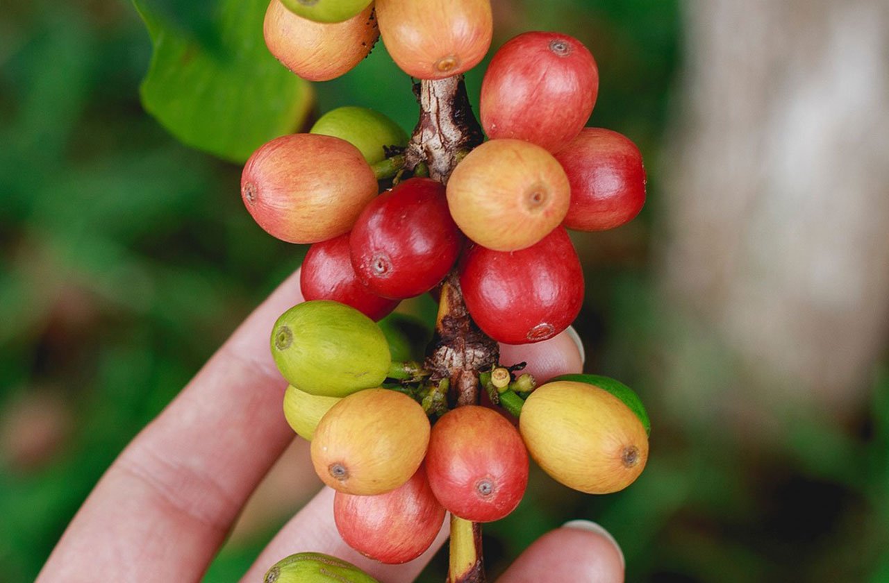 Panama