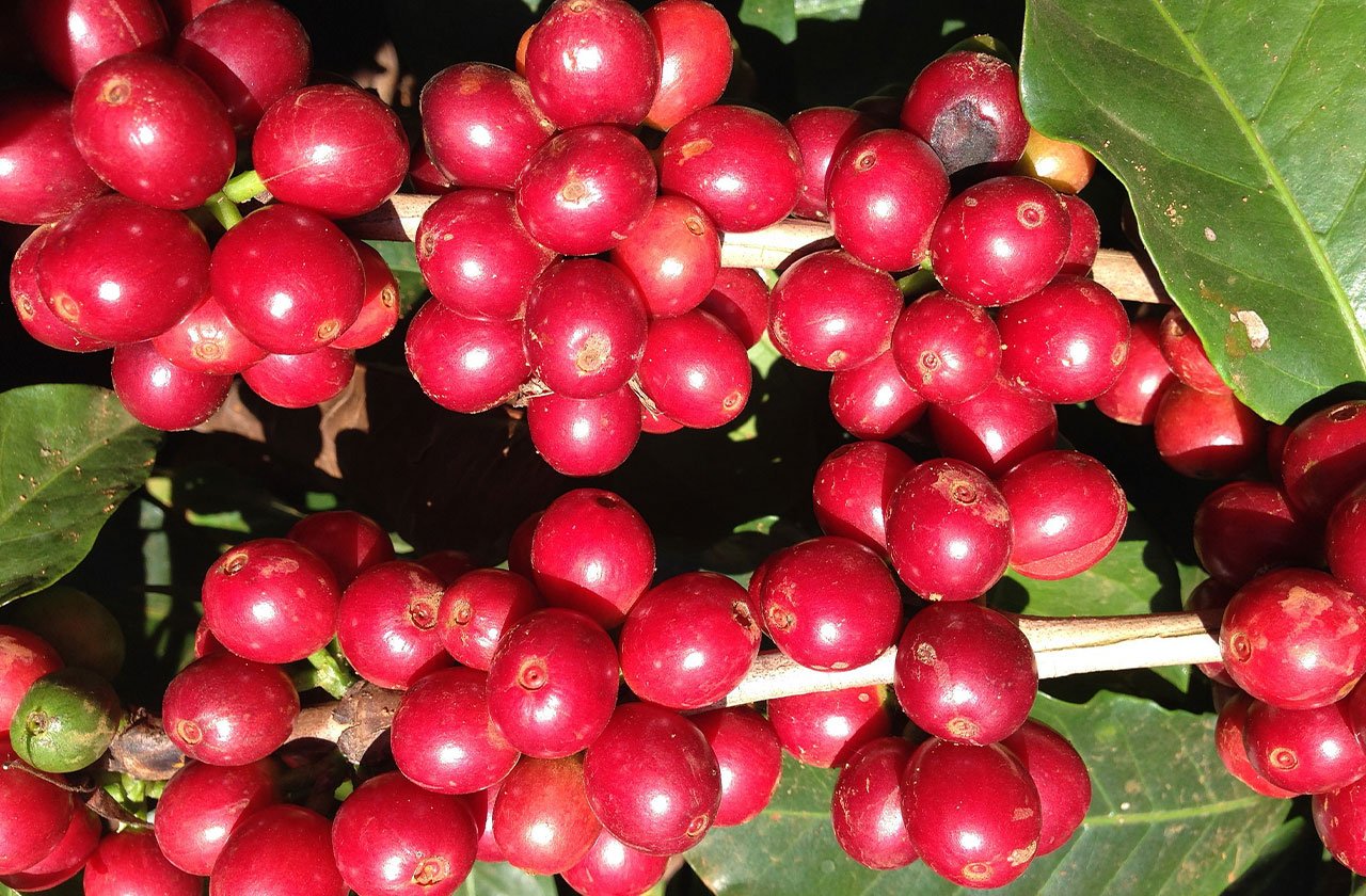 peru